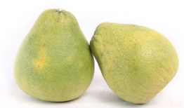 台湾麻豆文旦柚